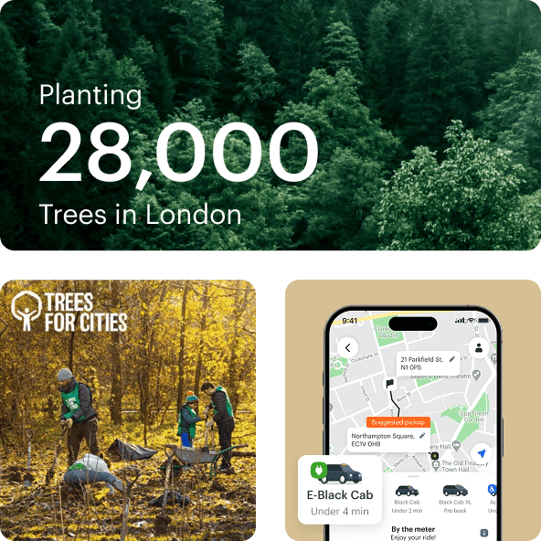 Planting 28,000 trees in London